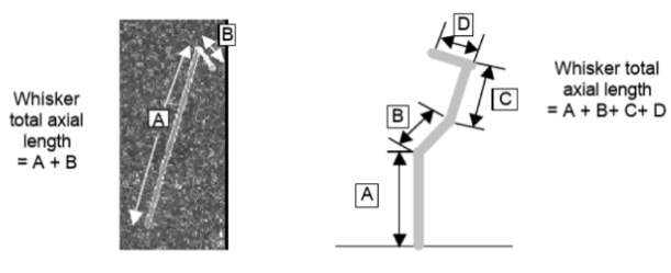 http://enrlb.com/system_dntb/upload/22082309.jpg